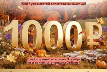 Акция реактивации в каталоге 13 2026